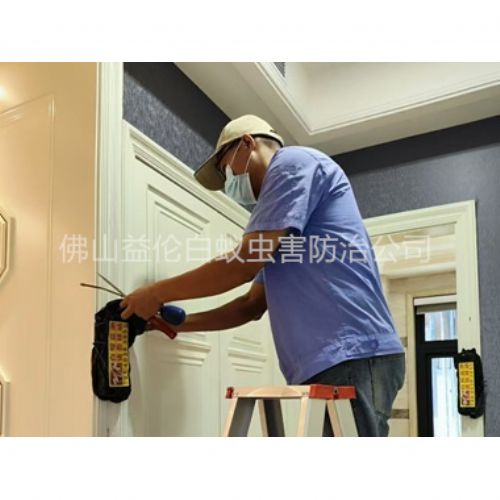 高明住宅白蚁防治工程