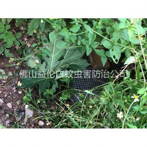 南海住宅区处理蛇患工程