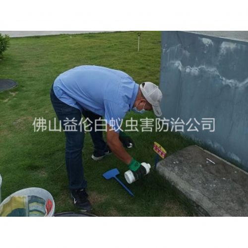 佛山灭除红火蚁工程