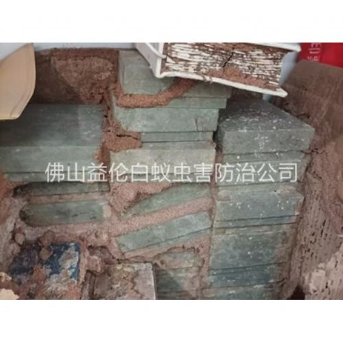 禅城防治白蚁危害工程